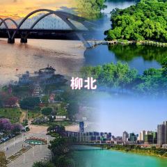 XIN SHI HUI User Photo