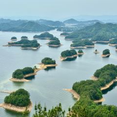 桃鲤·淳鱼馆(千岛湖店) User Photo