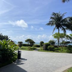 华南宝 User Photo