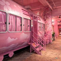 3Q台灣美食張用戶圖片