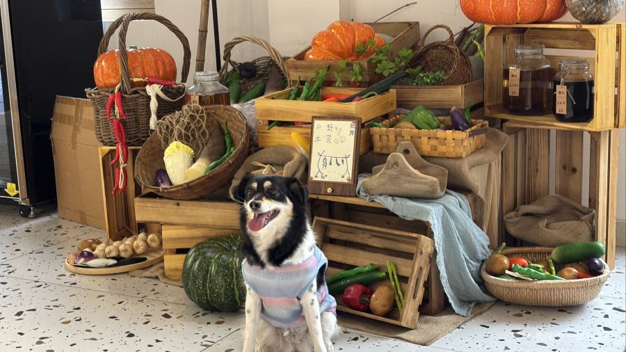 无隐民宿·奇思妙想营