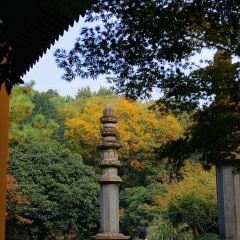 外婆的味道私房餐厅 User Photo