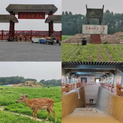 家风老馆子(德隆街店) User Photo
