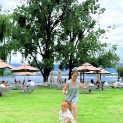 Black Swan Cafe User Photo