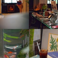 半兩·咖啡書店·浮生是杯酒張用戶圖片