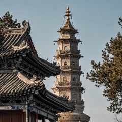 蘭州盛達希爾頓飯店·金城薈·中餐廳張用戶圖片