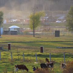 额尔古纳奇乾乡二黑农家院 User Photo