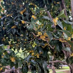 Do Do Do Porridge User Photo