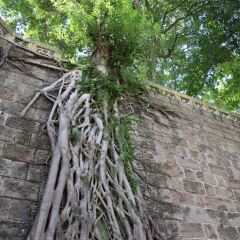 世臻和平饭店(富顺北湖一号店) User Photo