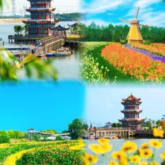 ZHI XIANG WANG SHI User Photo