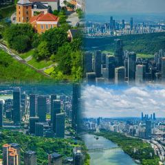 鹅泉原生态农家菜馆 User Photo