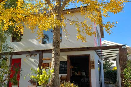 PURPLE MOUNTAIN GARDEN