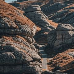 德顺源(桥华店) User Photo