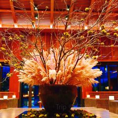 Shan Chinese Restaurant User Photo