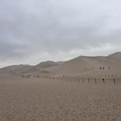 李广记杏皮茶 User Photo