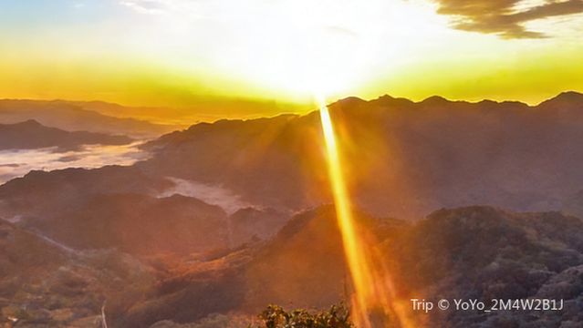 Singing Stone Forest Tourist Attraction