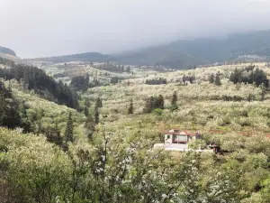 jia ji zhai li hua gu
