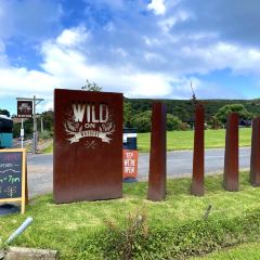 Wild on Waiheke Activities User Photo