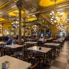 Cafe Iruna User Photo