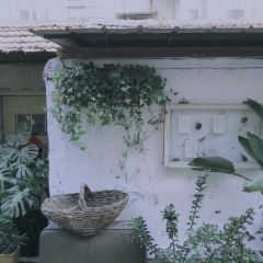 十六巷 User Photo