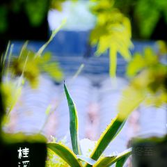 桂溪园·私房菜 User Photo