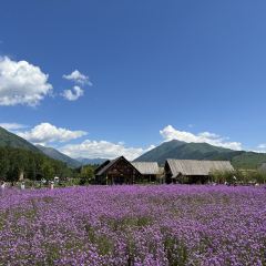 禾木老村山庄 User Photo