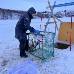 Snowhotel Kirkenes Restaurant User Photo