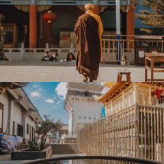 二对咖啡 User Photo