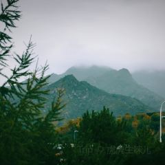 五台山万豪酒店·紫府名厨全日西餐厅 User Photo