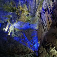 马记发粑 User Photo