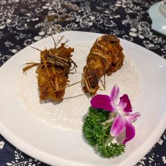 DONG GA LAO User Photo