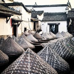早茶街 User Photo