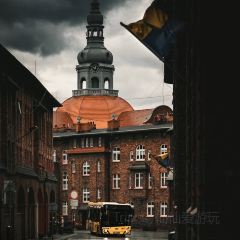 Zdrowa Krowa User Photo