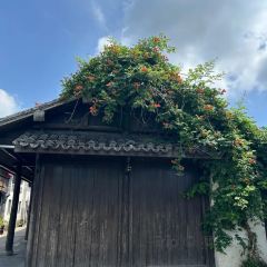 盐平府·海盐菜 User Photo
