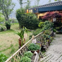 西湖鱼港(溪悦荟店) User Photo