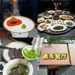 QINGHE User Photo