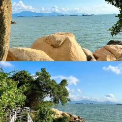 海边有棵树 여행 사진