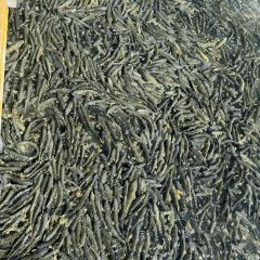 青海湖藏趣部落民宿·特色餐厅 User Photo