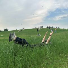 隔壁飯店張用戶圖片