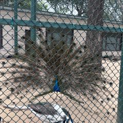 刘炭长牛烧大块烤肉(海州庙店) 여행 사진