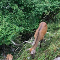 梅子山庄·土司宴 User Photo