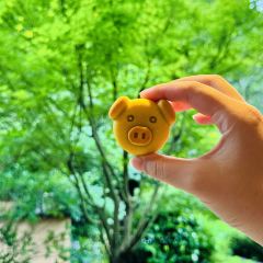 杭州湘湖逍遥庄园·逸吧 User Photo