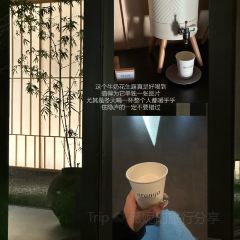 Bar Lotus 여행 사진
