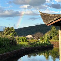 有芬餐館張用戶圖片