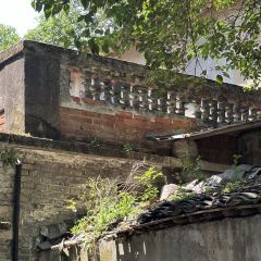 MU MU XIAN User Photo