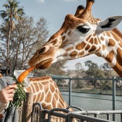 唐宴（青果巷店）張用戶圖片