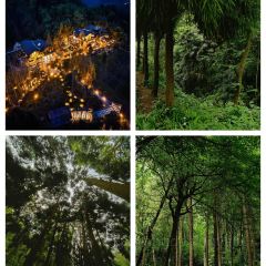 TU ZAO REN JIA CHAIHUO CHICKEN User Photo