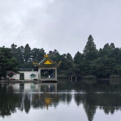 LAO ZHOU JI DAN BING User Photo