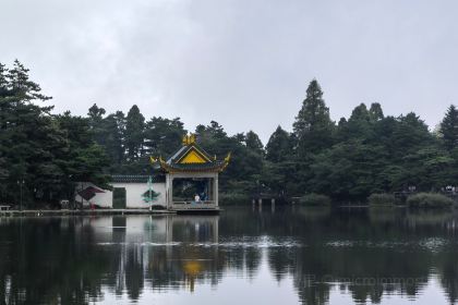 LAO ZHOU JI DAN BING