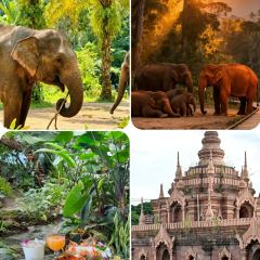 曼回索玉旺罕傣家乐 User Photo